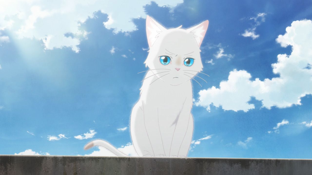 Pengorbanan Miyo Saat Berubah Menjadi Kucing di A Whisker Away